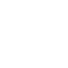 Our Vision